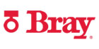 Bray International
