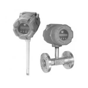 Magnetrol TA2型氣體質(zhì)量流量變送器