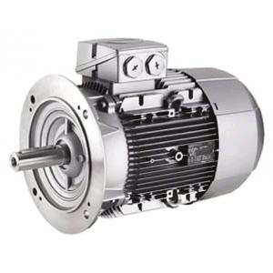 交流三相感應(yīng)電動機 1LE1系列