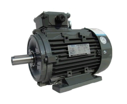 TECO 三相異步電機  AEAV/AEGV
