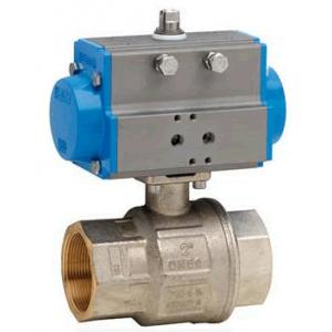 Stasto閥門(mén)氣動(dòng)執(zhí)行器 BAB1-009-BLTV-D0