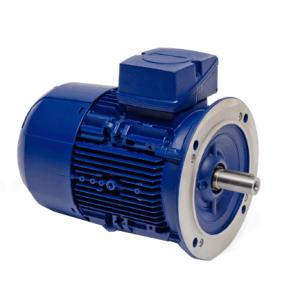 電機(jī) 5APE90S-4