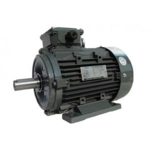 TECO 三相異步電機  AEAV/AEGV