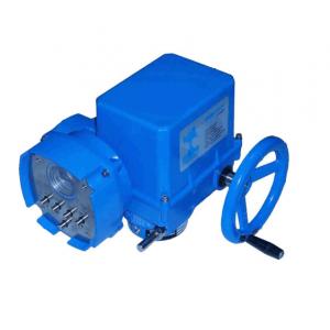 EMG-DREHMO 電動(dòng)執(zhí)行器 DPIM1-S-DCS