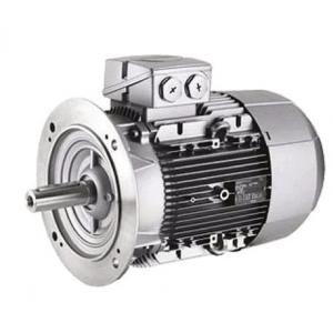 電機(jī) F80-252 PN:9973246909-000100