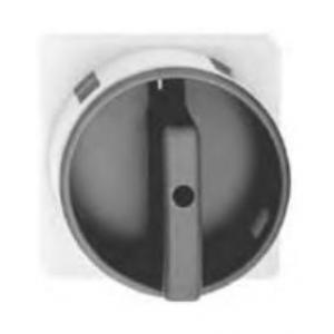 Sprecher+Schuh開關(guān)附件 LFS2-G-6-175 LFS2系列 瑞士Sprecher+Schuh