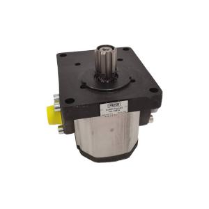 ORSTAQ2型 齒輪泵 A100R