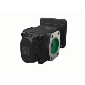 RICKMEIERR36/40 FL-K-WD-SAE2-R 齒輪泵