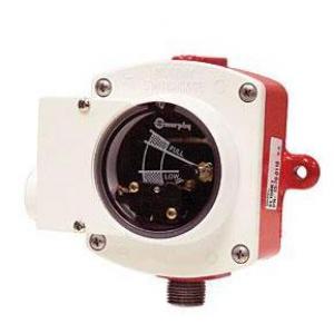  液位計(jì) L150和EL150系列 EL150K1