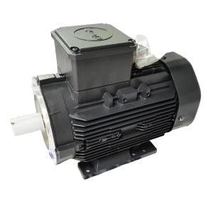 三相異步電機 KTE3 90 L 4 HYD IE3 /6197972