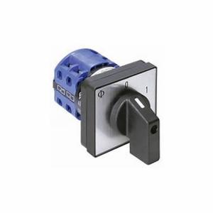 轉(zhuǎn)換開關(guān) CAD11.US5626.FT1.G521