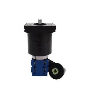 DH10-1.A-G925*990PEP.KN1F 旋轉(zhuǎn)開關(guān)