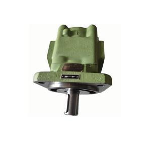 R69/400 FL-Z-W-R-SO 齒輪泵 