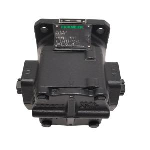 R25/6,3 FL-K-DB4-W-G3/4-R-SO 齒輪泵