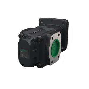 R36/40 FL-Z-W-SAE2-R 齒輪泵