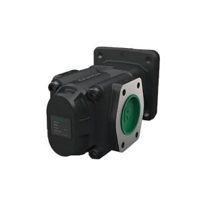 R36/80 FL-Z-WD-SAE1/2-L  齒輪泵