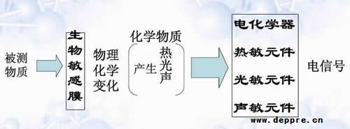 指紋識別傳感器主導全球生物識別硬件市場